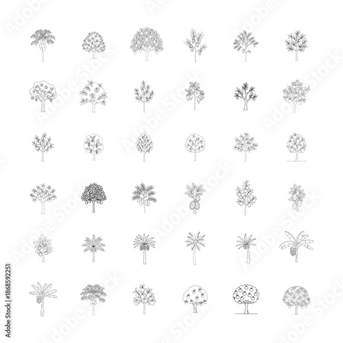 Large set of fruit trees and tropical palm plants hand drawn outline icons