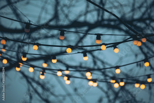 Фотография Strings of warm lights are draped on bare branches as dusk falls