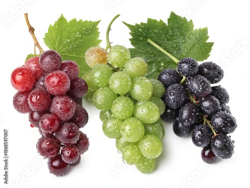 Illustration of three bunches of grapes isolated on white background