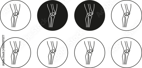 Human knee joint and leg bone anatomy icon set inside circles for orthopedic health, medical surgery, and therapy.