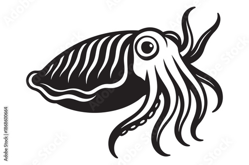 vector illustration of a fish