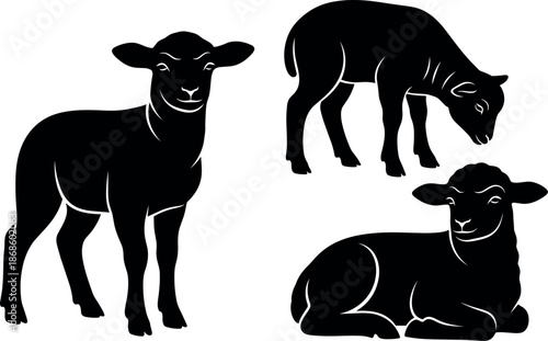 Three black silhouettes of lambs in different poses isolated on white background