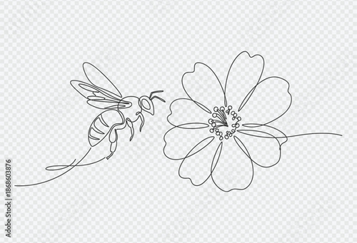 A simple line drawing of a bee approaching a flower with transparent background