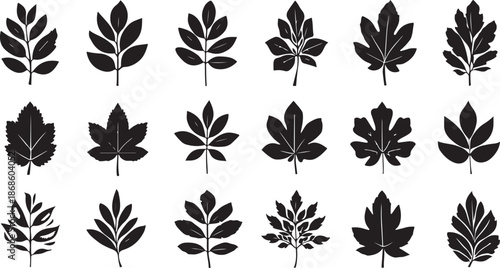 Collection of 15 black silhouette leaf shapes with detailed veins and stems on a white background