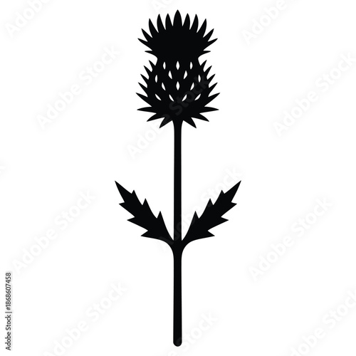 Black silhouette of a thistle flower with spiky petals and leaves on white background vector