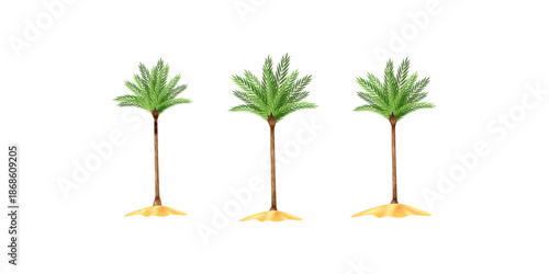 Egyptian tree vector illustration featuring exotic desert plant design, cultural landscape artwork, ancient nature element, traditional botanical symbol for heritage and decorative creative projects.