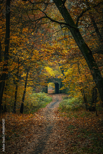 Alejka parkowa jesienią