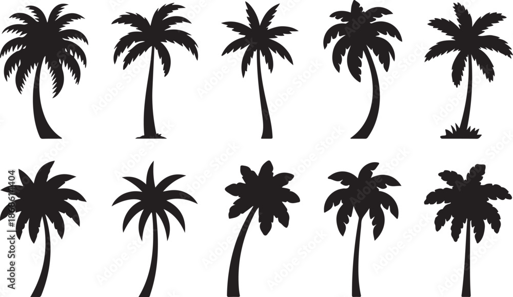 Obraz premium Palm silhouettes