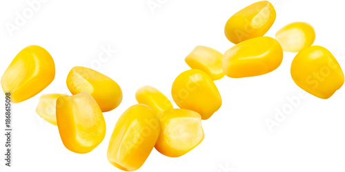 corn isolated on white background