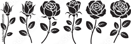 Photography Set of decorative rose with leaves