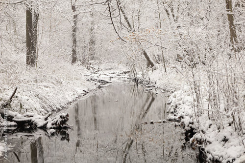 Rzeka płynąca przez las w zimowej scenerii
