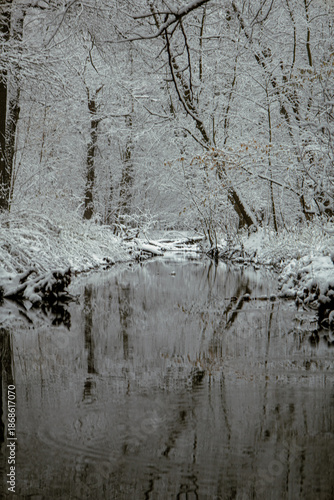 Rzeka płynąca przez las w zimowej scenerii