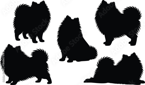 A charming collection of five black Pomeranian dog silhouettes captured in various adorable poses