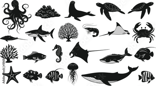 Octopus, shark, sea turtle, jellyfish, coral, whale, stingray, crab, marine life, underwater illustration, ocean biodiversity, black and white drawing