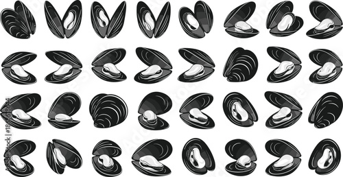 Pearl clam illustration, black and white, sea shell grid, marine design, ocean pattern, nature drawing, underwater art, mollusk silhouette, decorative style