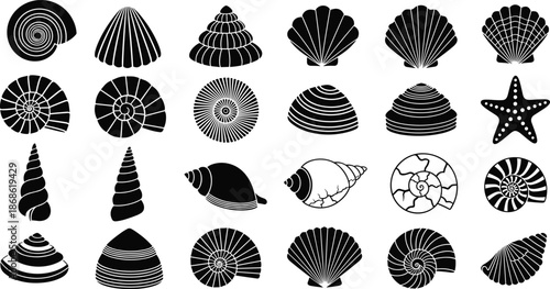 Sea shell silhouettes, marine life, black and white, ocean elements, starfish icon, mollusk shapes, coastal design, nature pattern, shell collection, beach theme, underwater illustration