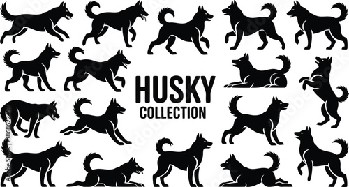 A comprehensive collection of Siberian husky dog silhouettes showing various poses and actions