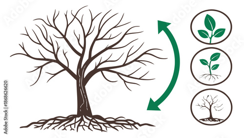 Seasonal Transformation: Dormant and Flourishing Tree Cycle Illustration,  A comparative illustration showing two stages of a tree's life cycle with directional arrows. On the left, a brown, dormant 