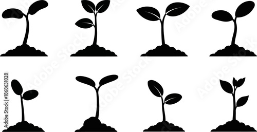 Plant Growth Silhouettes Simple Black and White Sprout Icons.eps