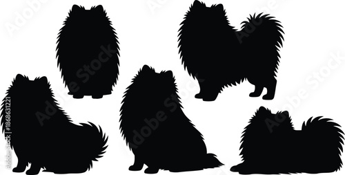Five fluffy black Pomeranian dog silhouettes captured in various playful and static poses