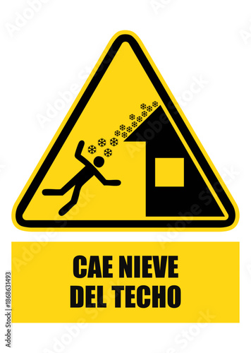 cae nieve del techo