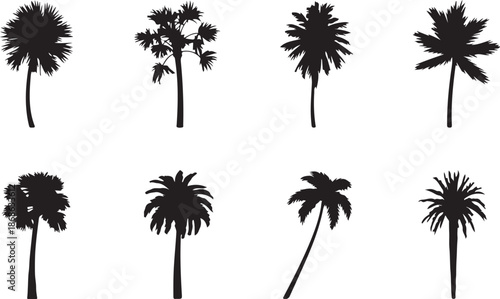 Black palm trees set isolated on white background. Palm silhouettes. Design of palm trees for posters, banners and promotional items. Vector illustration