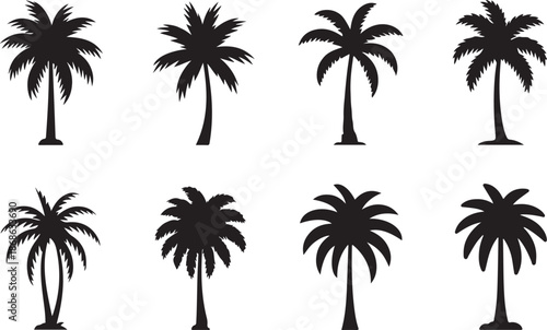 Black palm trees set isolated on white background. Palm silhouettes. Design of palm trees for posters, banners and promotional items. Vector illustration
