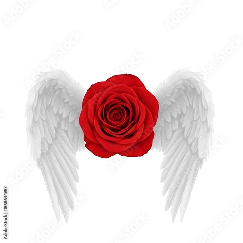 Red Rose with Wings: Love, Angelic Floral Design