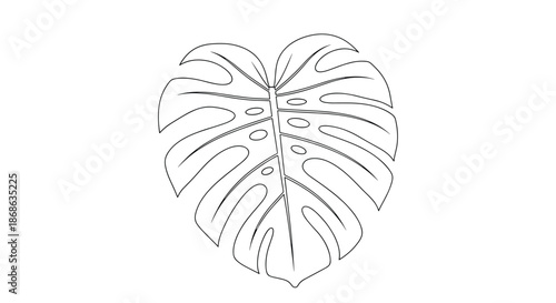 Minimalist line art illustration of a monstera deliciosa leaf with characteristic holes and veins on a plain white background.