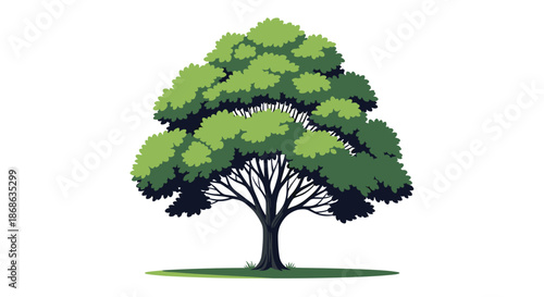 Large green deciduous tree with a thick trunk and a dense canopy of leaves isolated on a plain white background for landscape use.