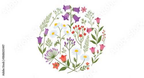 Circular arrangement of diverse colorful wildflowers and meadow plants creating a beautiful botanical composition on a white background.
