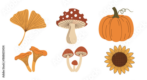 Set of autumn-themed illustrations including ginkgo leaves, various mushrooms, an orange pumpkin, and a bright sunflower head.
