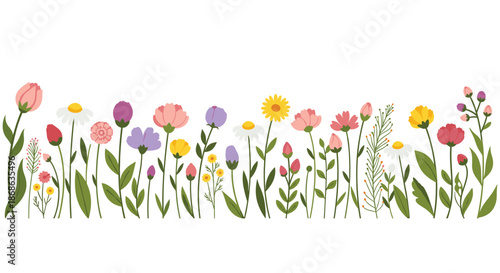Horizontal border of various colorful wildflowers and meadow plants in different stages of bloom on a clean white background.
