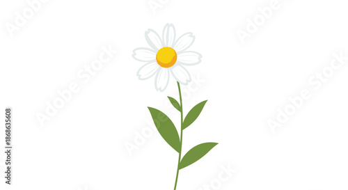 Wallpaper Mural Single white daisy flower with a bright yellow center and green leaves on a long stem isolated on a plain white background. Torontodigital.ca