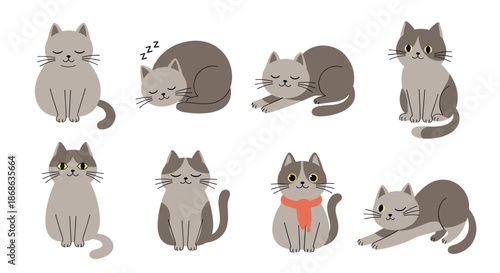 Set of eight grey domestic cats shown in different poses including sitting, sleeping, stretching, and wearing a red scarf.