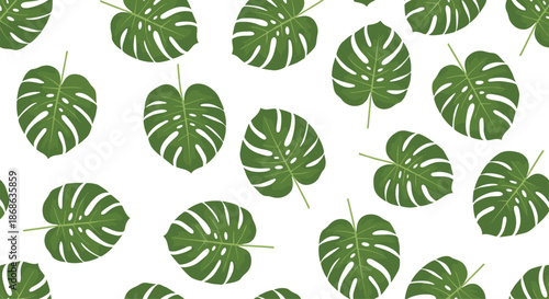 Tropical seamless pattern featuring lush green Monstera leaves in various orientations creates a fresh jungle vibe.