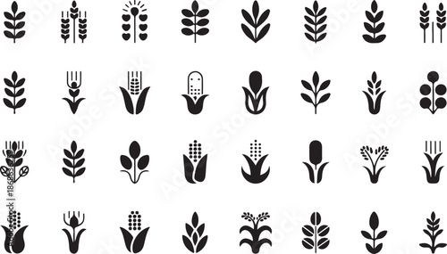 Ears of wheat bread symbols.