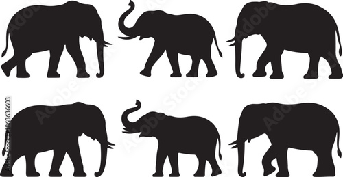 Elephant silhouettes