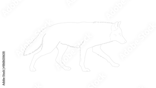 Stylized Wolf Silhouette with Dotted Outline on Dark Field