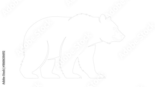 Silhouette of a Bear with Dotted Outline on Dark Surface