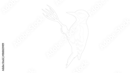 Intricate Woodpecker Silhouette in High Contrast Monochrome