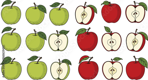 Cartoon apples, red green, whole halved, fruit grid, cute design, stem leaf, healthy snack, flat vector illustration