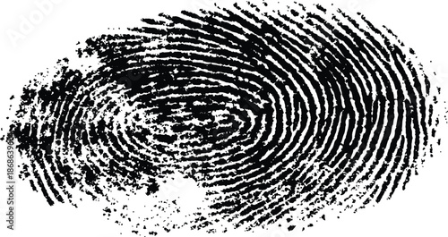 A close-up view of a black fingerprint on a white background. Black fingerprint impression isolated on a white background for security concepts