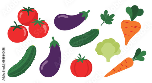 Assortment of fresh garden vegetables including tomatoes, eggplants, cucumbers, carrots, and broccoli for healthy eating and cooking designs.