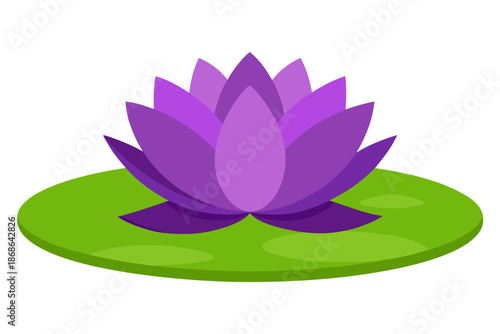 pink lotus flower