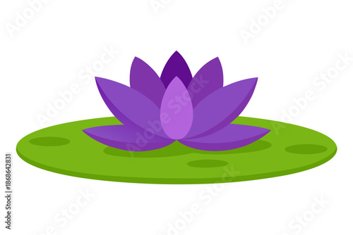 pink lotus flower