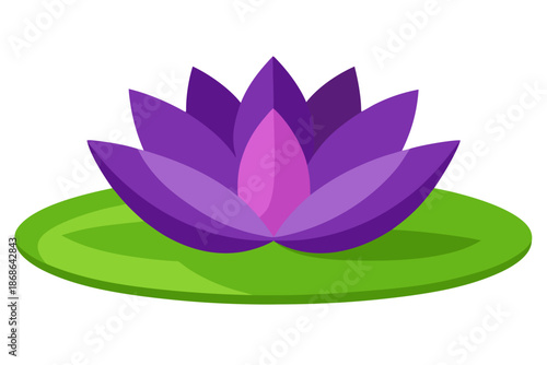 pink lotus flower