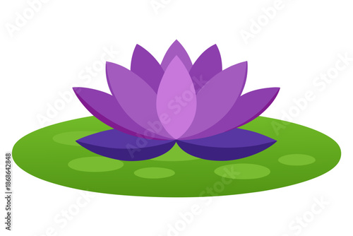 pink lotus flower