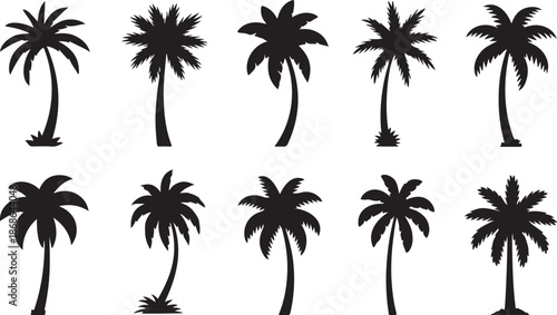Palm silhouttes