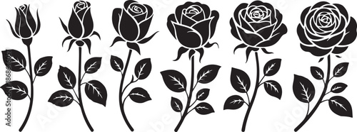 Set of decorative rose with leaves. Flower silhoutte. Vector illustration